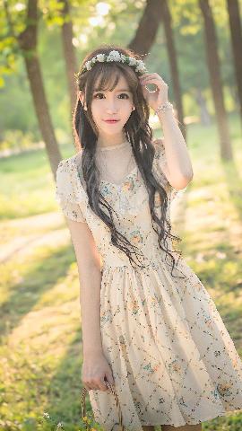 大梦归离电视剧免费观看全集在线播放