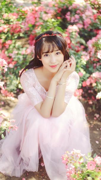 雪豹电视剧全集免费观看完整版